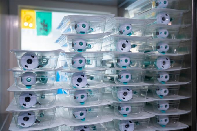 Plastik 10mm Tek Kullanımlık Hasson Trokar Künt Uç Karın Cerrahi Aletleri 7