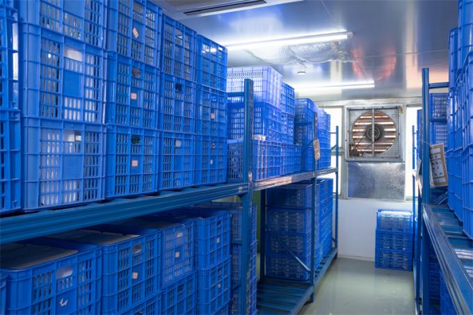 Laparoskopik Cerrahi için Özelleştirilmiş CE İşaretli 12mm Tek Kullanımlık Hasson Trokar 7