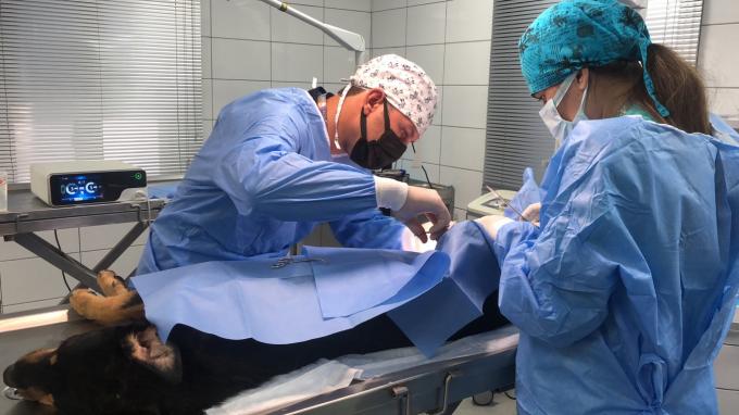 Veteriner Kullanımı İçin Laparoskop Cerrahisi Ultrasonik Neşter Sistemi Hemostaz 7