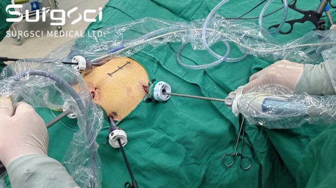 hakkında en son şirket haberleri Ülkenizde Dağıtımcı Olun.  0