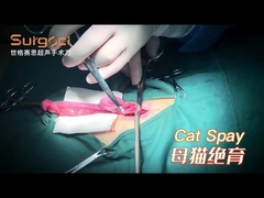 How to Use Ultrasonic Scalpel to do Cat Spay